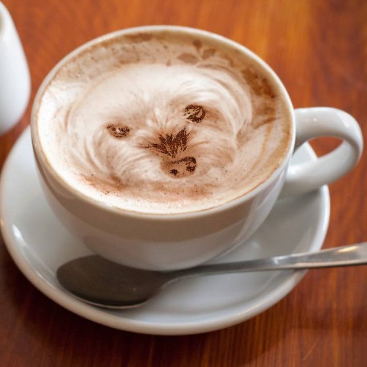 41884ea1 55f8 4193 9f03 00fb0c4ded81 1633658866464