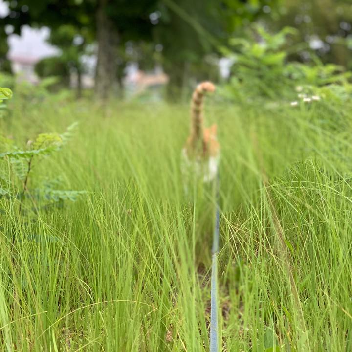 418853c3 6cce 4590 9bf5 8b1cb1f5bd14 1565644499633