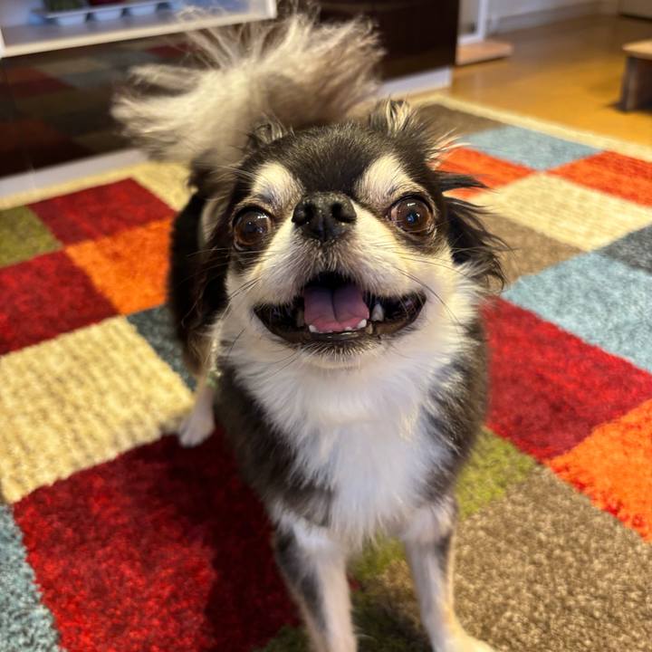 41886b26 cb04 4e4a 84d6 996d263b037d 1751818439599