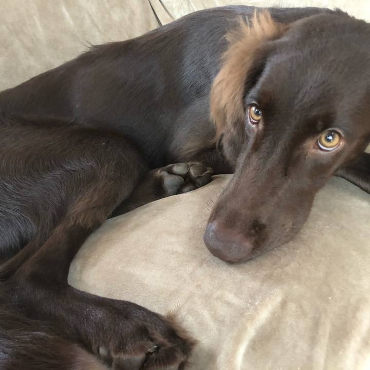 41888527 6f7d 4ff4 b612 9595b98b8360 1563449849256