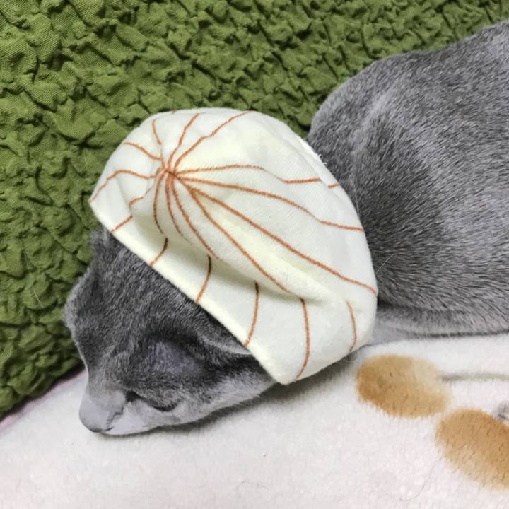 4188e9fe ee08 49e1 a6b0 773d5ed29534 1520806518205