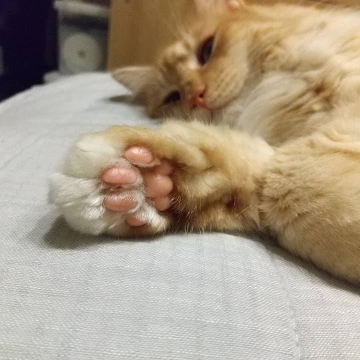 4188f001 6ffe 4f1d 9079 e86883b88d05 1629543624321