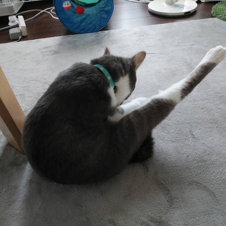 4188fde4 4dba 47e3 a393 ec9e4438b002 1594853105049