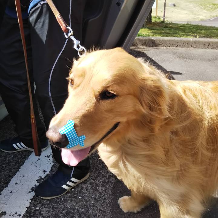 41892d69 9414 4a3d 85c4 a95aaa6c1442 1524716708440