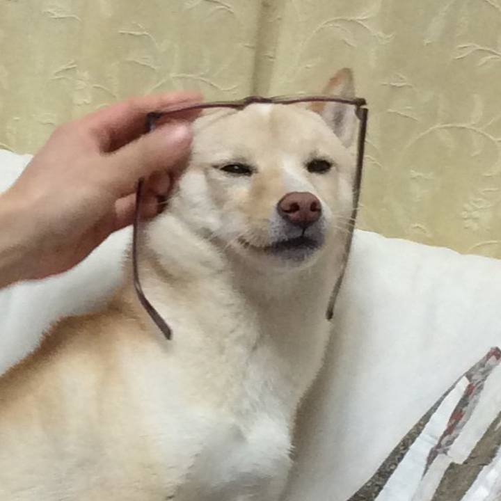 41893167 a882 4513 99cd 99db96c4d19b 1513683778656