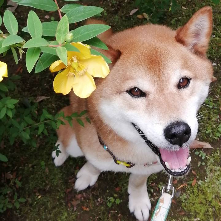 41896e0c 0c1c 4e52 9651 fc4a1527da1b 1622603710111