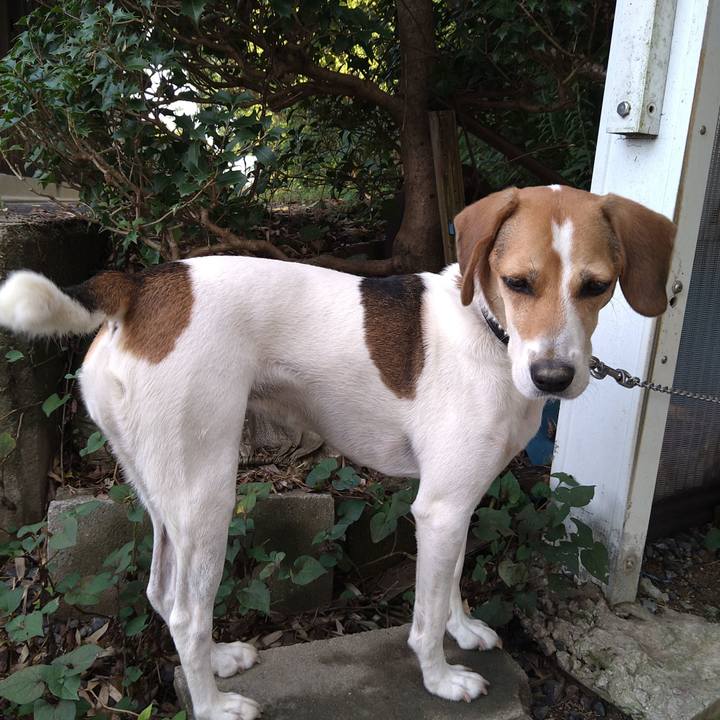 418992d4 be41 4f94 bc26 3be5235335da 1630743150895