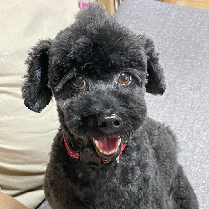 4189e1c1 edb1 4b57 bd7b 37fbc893b88b 1659760049924