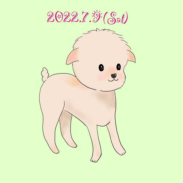 4189fe12 8dda 4311 b0c3 839710c29b40 1657368091495