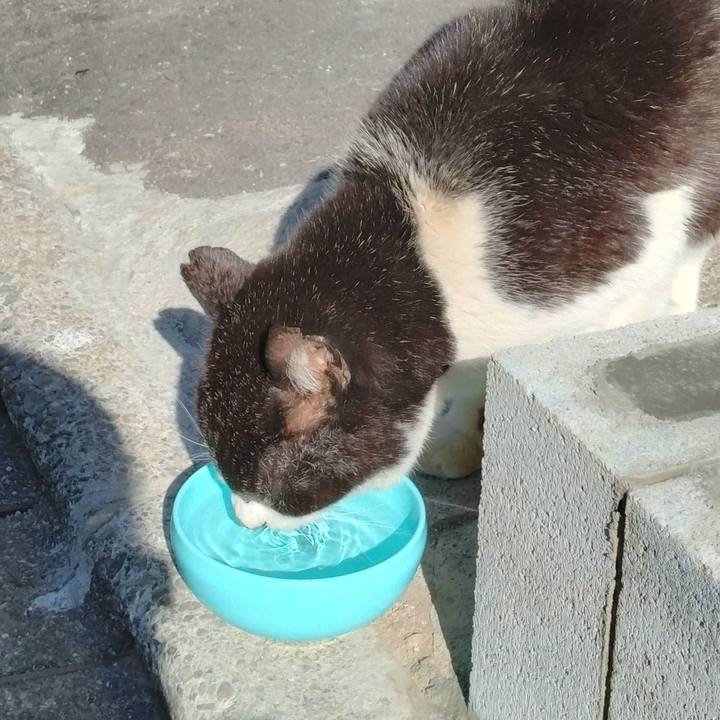 418a0171 487e 478d b29b 7833caf44267 1707799187942