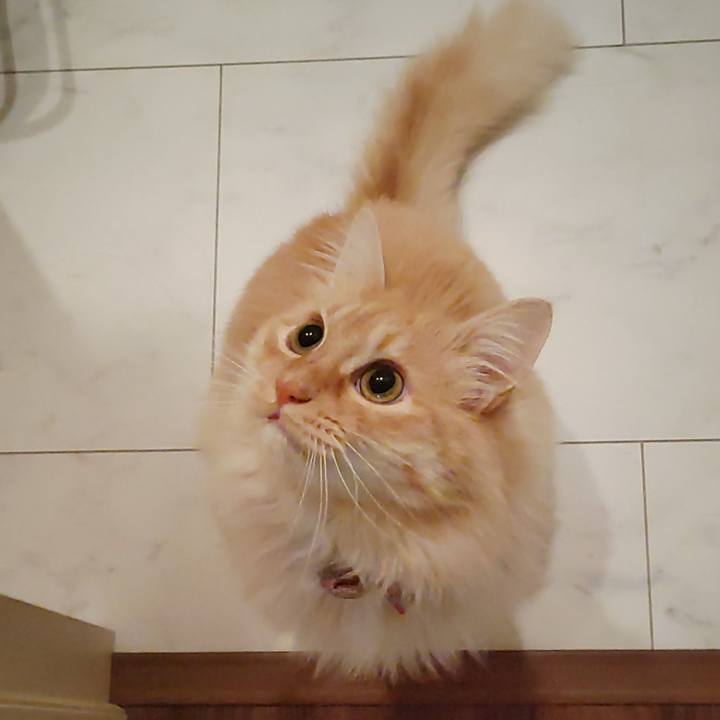 418a044f 5021 4e47 a9a9 2279e95f9cfe 1674424646351