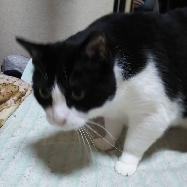 418a0b22 aa35 40e6 ac23 0b0b4cf7b4f2 1559771406057