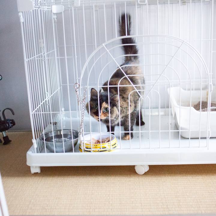 418a2fbd 234d 43a1 bc83 2501ae236e7a 1573085180016