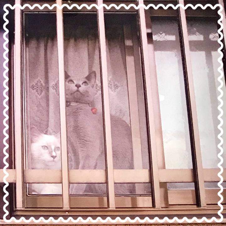 418a38f0 f99c 4a50 890e 810f5ffd0428 1521894610270