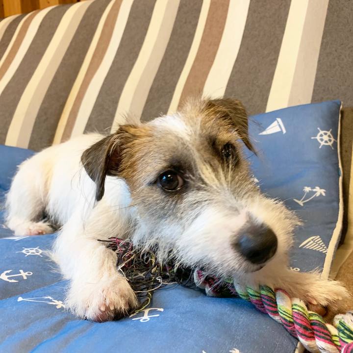 418a3a52 9705 4953 adf6 6a2d00e7f635 1567993204654