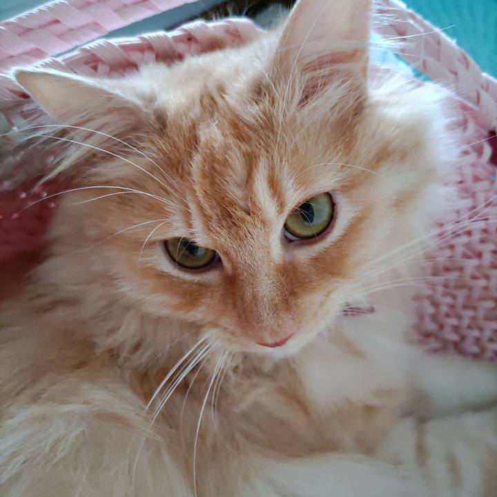 418a3fd5 97e2 4346 81c9 90211a33f1e0 1688433824797