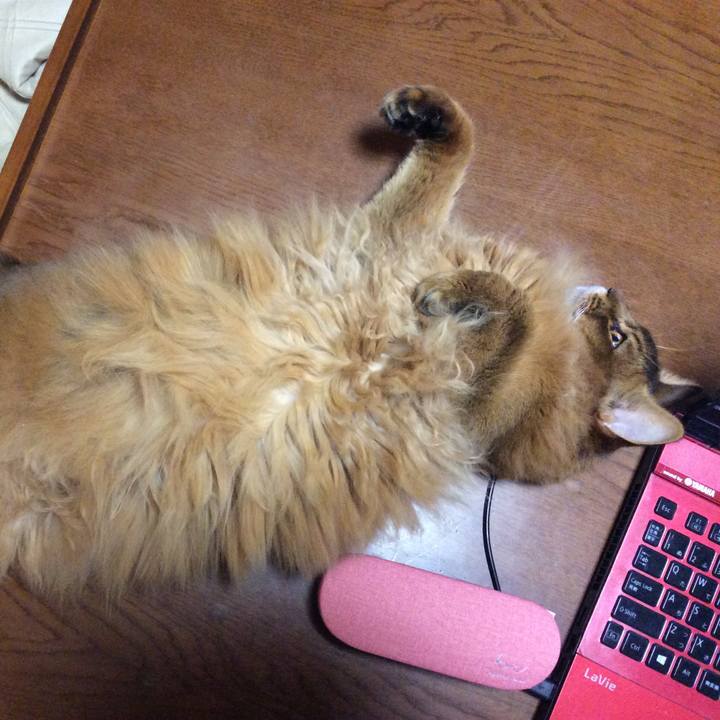 418a6b2e 0400 4874 992d 69ccbdcf7d90 1605861238372