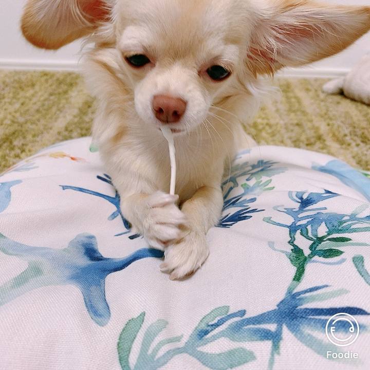 418a81c5 f820 4482 8e15 bf73fab5cd3d 1602070979331