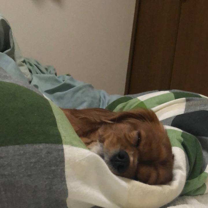 418a8648 0c31 4ef6 b738 f0d873c0b4f1 1575464954485