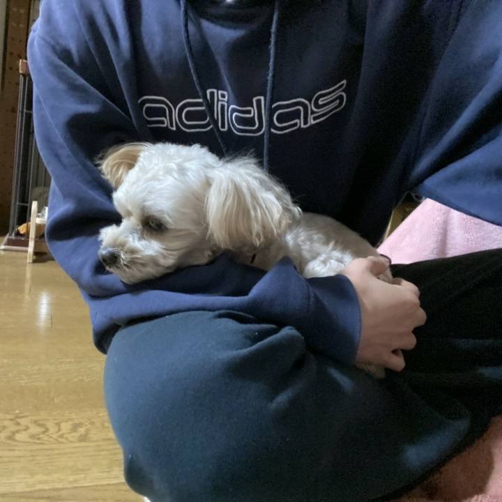 418af75d 21fd 4bb3 bf86 b26689eace79 1578320220140