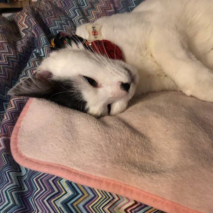 418b17f2 2408 4815 9e3d b37c9027ca14 1525304687792