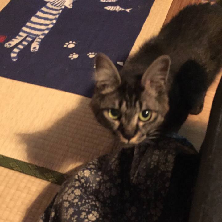 418b1a76 046b 4c05 bf34 0d7ed2f4352b 1559472767620