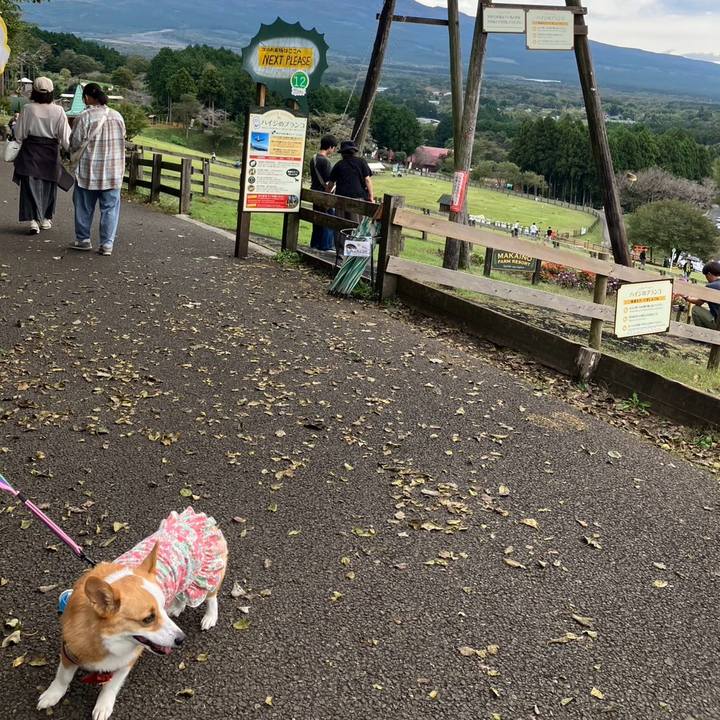 418b4b24 b5cd 4958 b808 9d7096dd863f 1760343738222