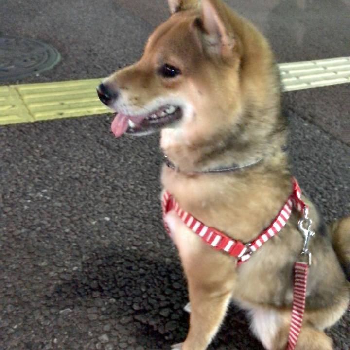 418b78fe cf15 4265 8174 1f14d5056c71 1522317311573