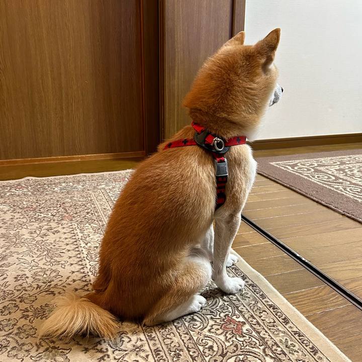 418b9ca1 add0 48c4 9617 507655091b6b 1699354719177