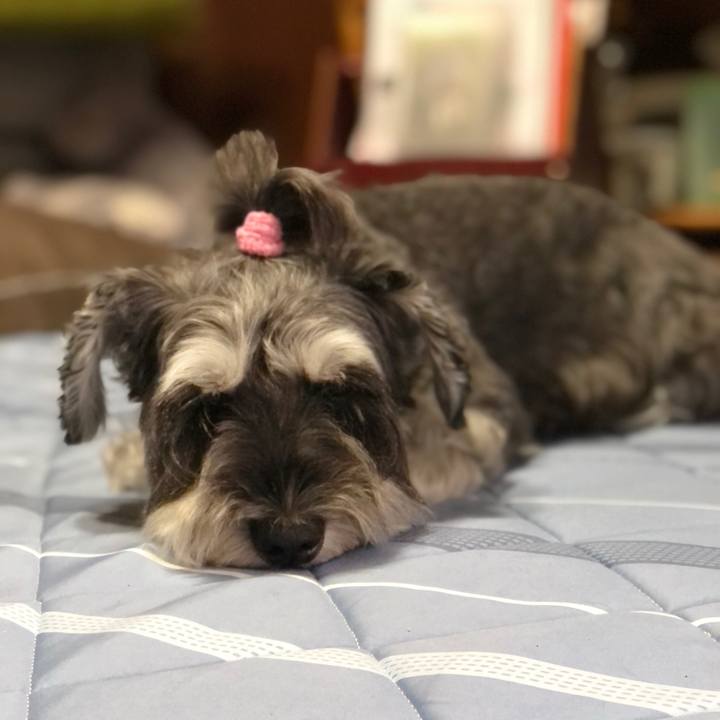 418be1c9 7753 4940 91e6 051d0e07e430 1663944815604