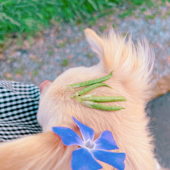 418bfb83 d5e0 43b6 ba54 adc1d2d8857d 1651319431327