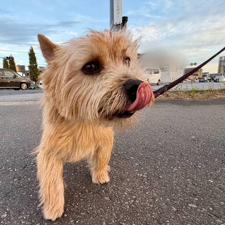 418c1029 adef 47c7 9185 6378862d9060 1760792689843