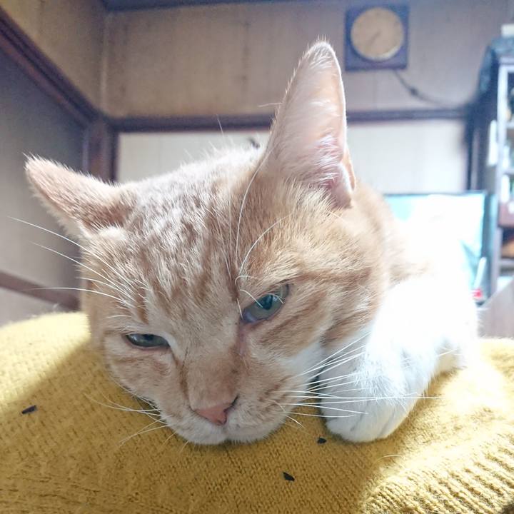 418c69e4 15d2 4a3c 94ad f4626644b9ea 1573339616522