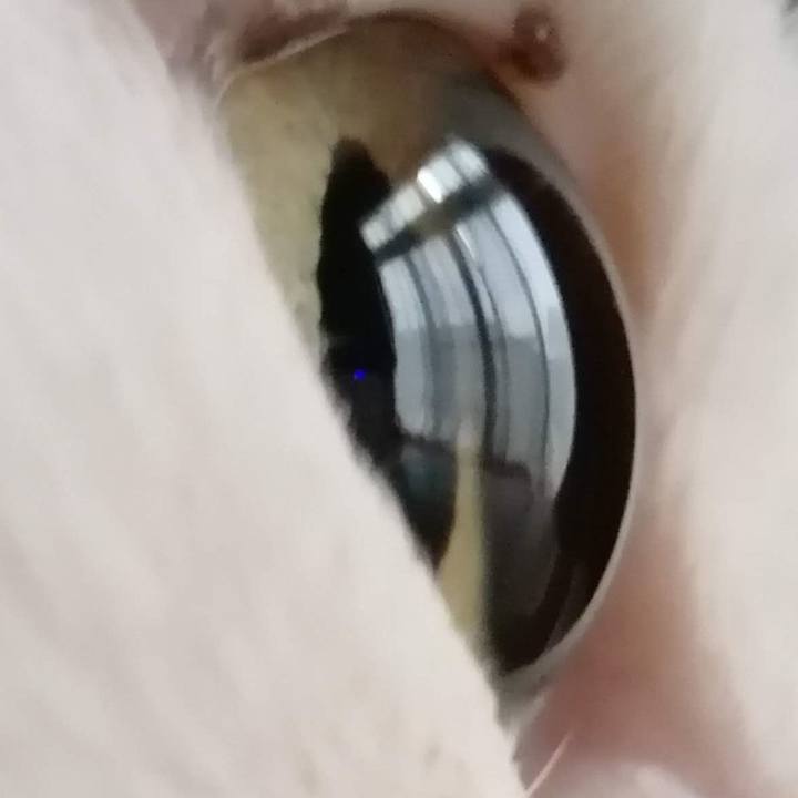 418c8b4b f1ff 4aa3 8de1 61a73575773d 1582335669712