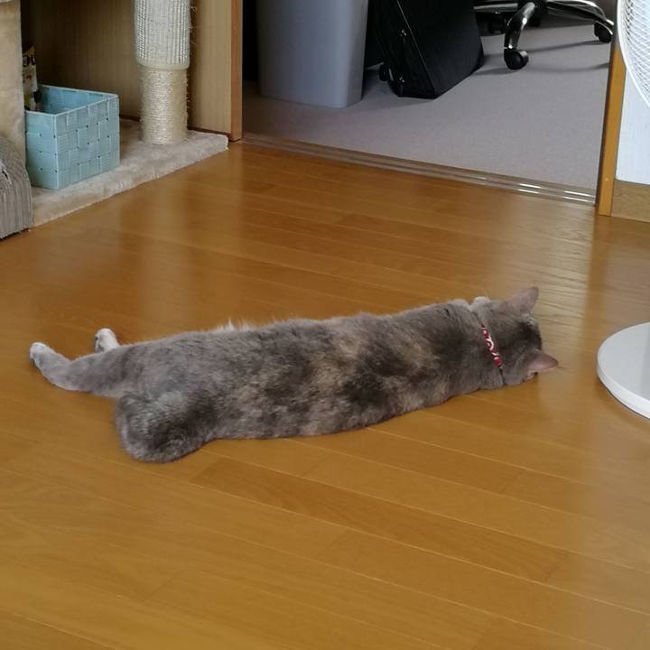 418c985b 87de 42b9 b94b 683278b39a16 1537580172015