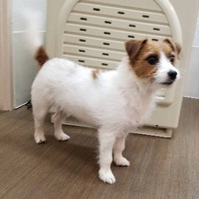 418cd2fd 1396 4ba8 9f63 a16c5815fade 1542348887167