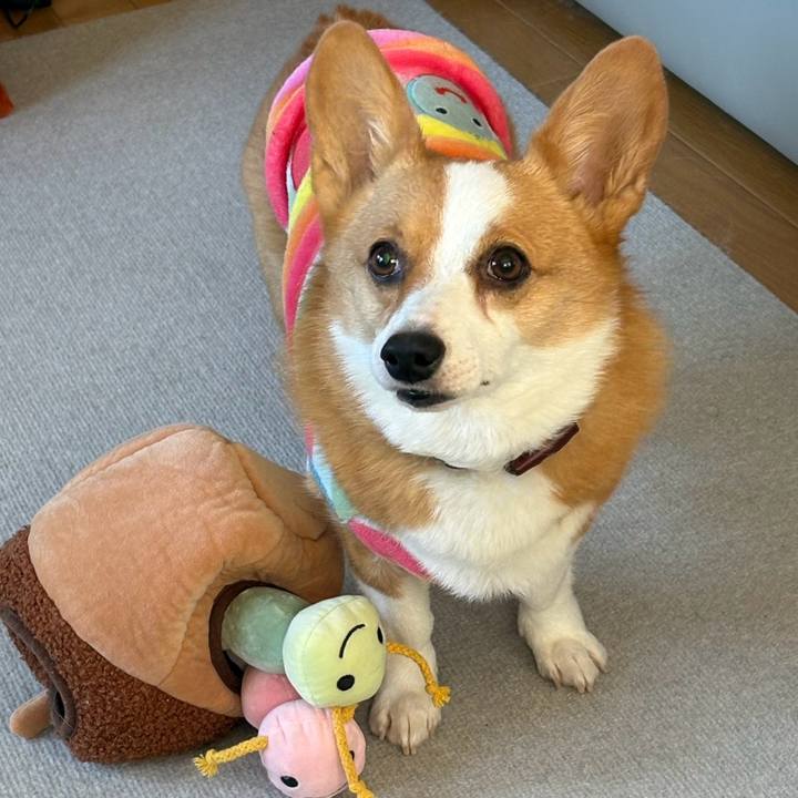 418d109e 908f 4e76 a511 b437a9c684a4 1773447665259