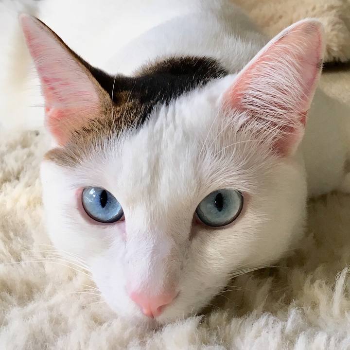 418d2d54 41b2 4e7b a2d6 eb7fc9ba2d87 1511575401997