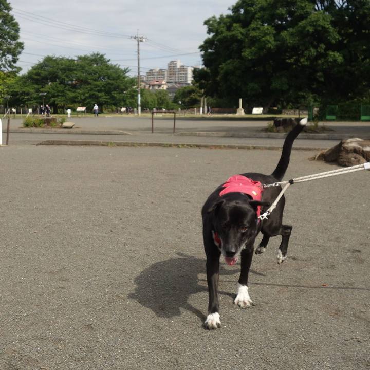 418d578a e718 487b ab1c 83292b3561fc 1683852420487