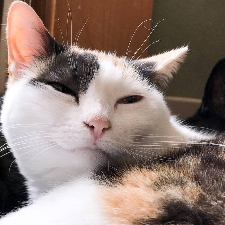 418d6632 0503 499d a210 a12580bcefd8 1526529054560