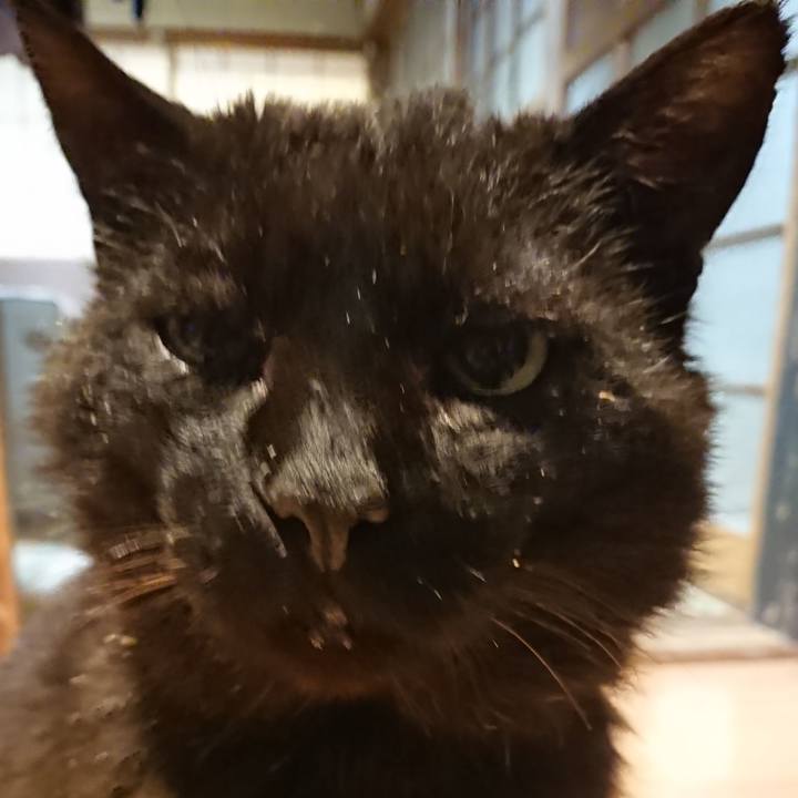 418d83e9 a4be 4f5e a288 2413764a530a 1621430457706