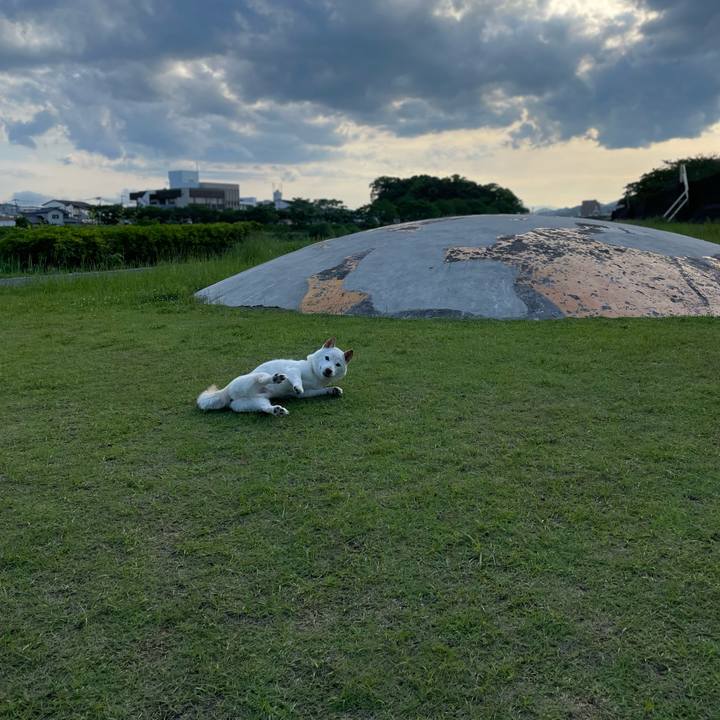 418d979d d740 4dd6 a1cc b95543b92d02 1652526279015