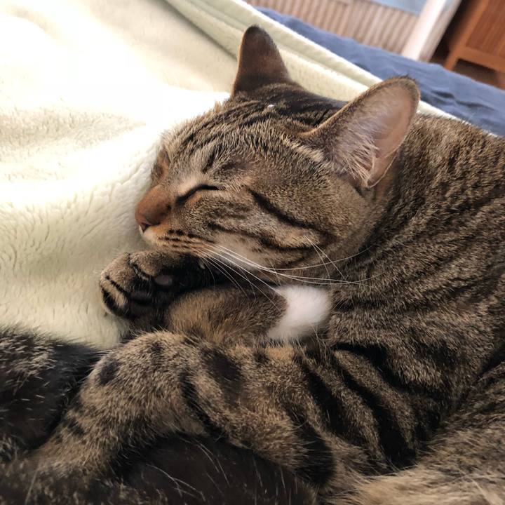 418d9acc 205e 45f2 85e5 0cf8359edda8 1529262232301