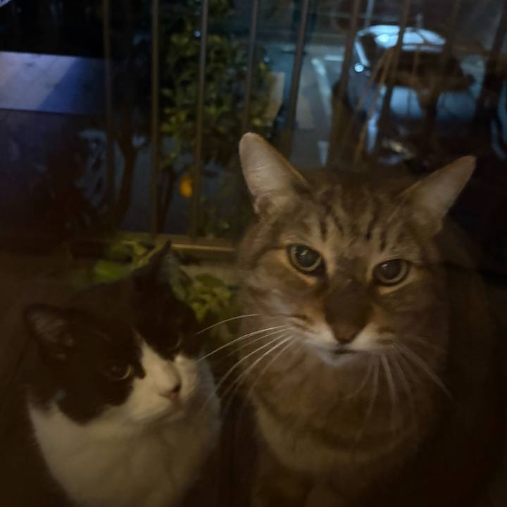 418db8d4 2ef5 448b a39d 897f7fa59c99 1765976159794