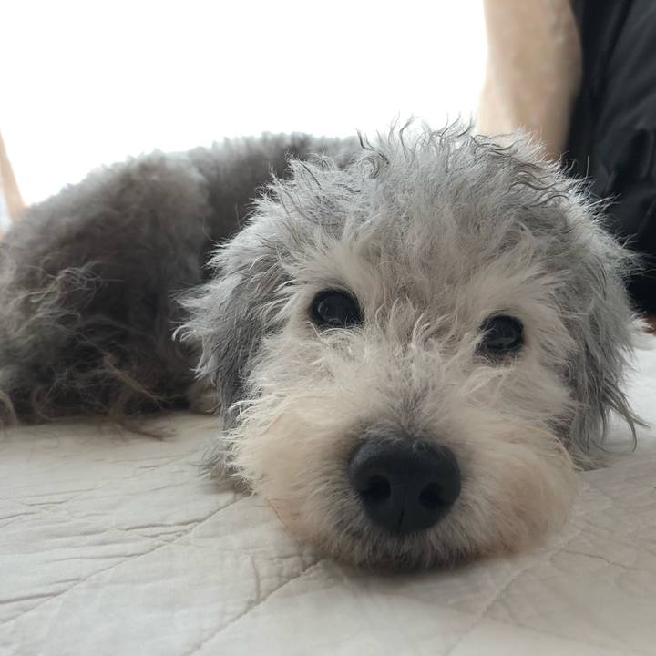 418de937 9d13 4715 bd00 c9c91778d7d6 1567988611332