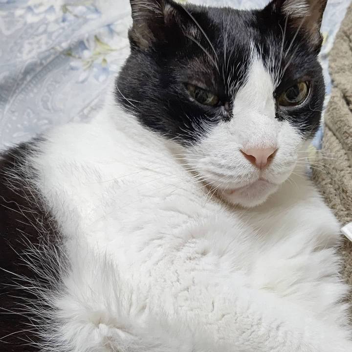 418dec9e f60a 432b b1e9 9b8b9038d70b 1600721161071