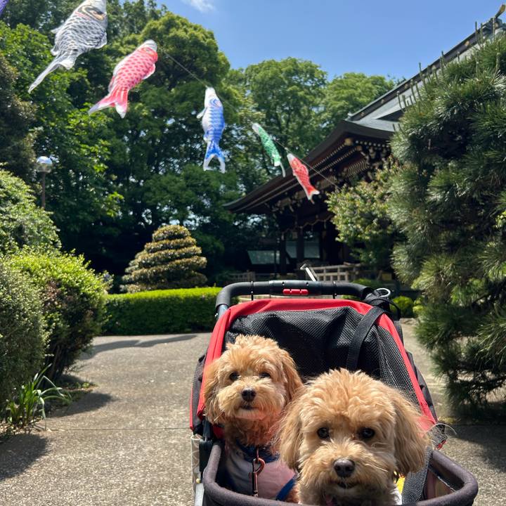 418e1cfc a603 4989 898c ab0ef2b747f0 1746423899152