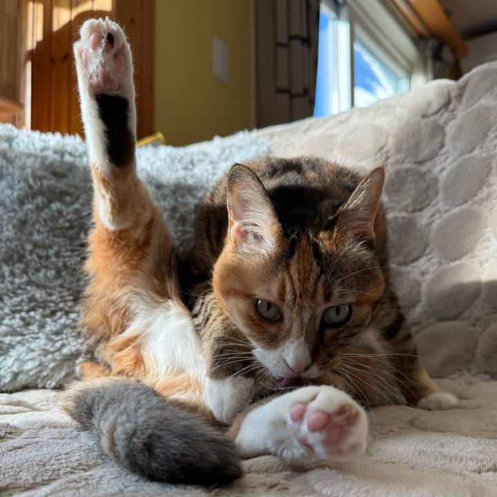 418e26f0 fa10 4775 8313 5298f461412e 1771631262109