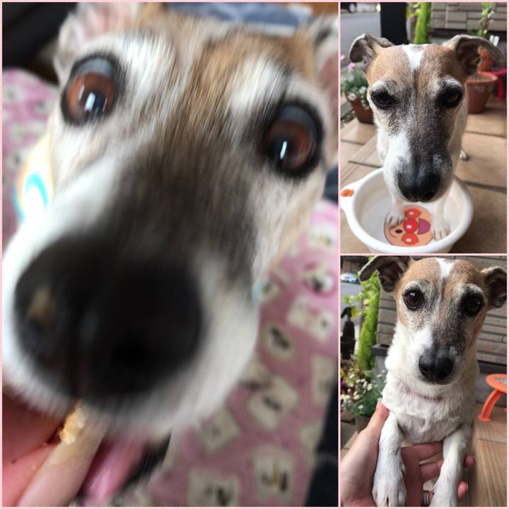 418e2b7e 7086 47d8 a463 fe06aedf2861 1522888941860