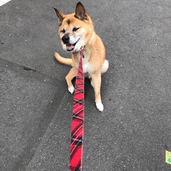 418e3357 687c 4fc1 8442 729761c31431 1571545974332